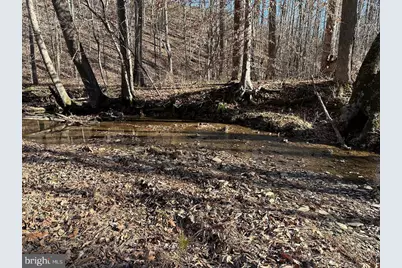 Old Driver Hill Road (Tract: H.M. Duval-1), Scottsville, VA 24590 - Photo 17