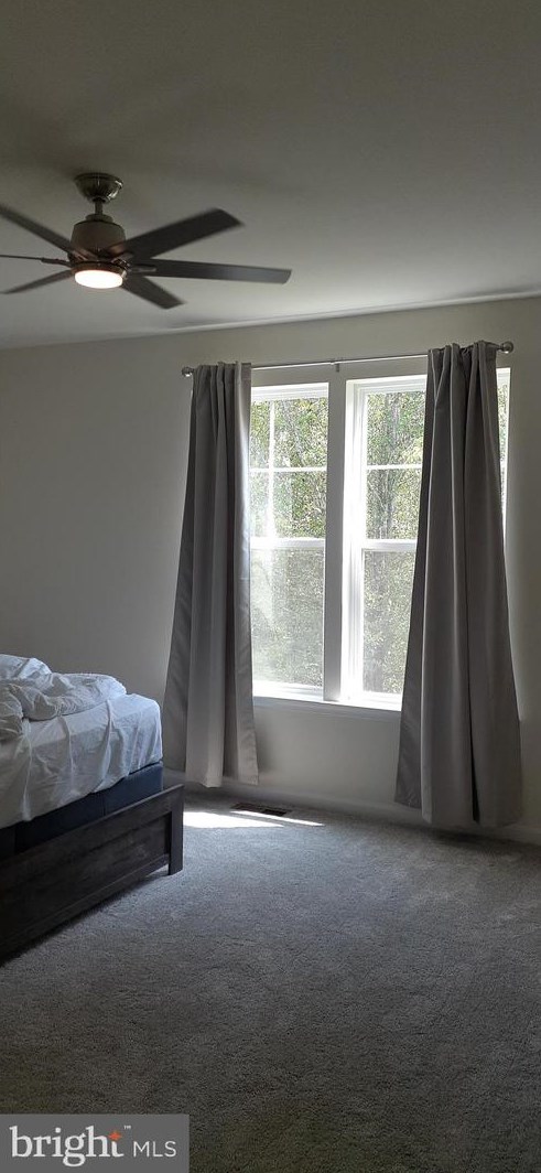 11206 Callie Jo Ct, Bealeton VA  22712-2005 exterior