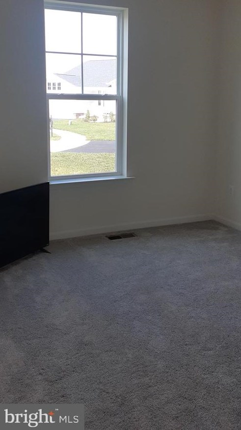 11206 Callie Jo Ct, Bealeton VA  22712-2005 exterior