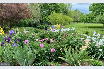 3050 Rectortown Road, Marshall, VA 20115 - Photo 15