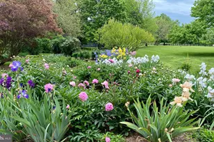 3050 Rectortown Rd, Marshall, VA 20115 - Photo 15