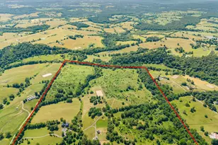 9425 Blackpond Ln, Delaplane, VA 20144 - Photo 105