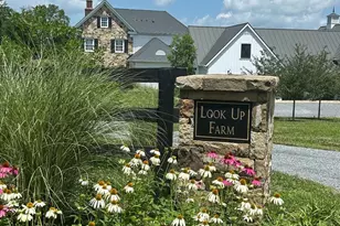 [Address not provided], The Plains, VA 20198 - Photo 3