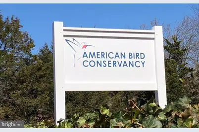 6494 Mainst Main Street, The Plains, VA 20198 - Photo 19