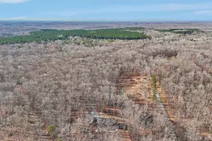 13445 Blackwells Mill Rd, Goldvein, VA 22720 - Photo 77