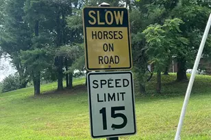 5377 Colt Dr, Broad Run, VA 20137 - Photo 21