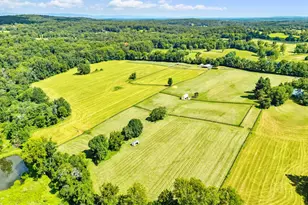 3418 Halfway Rd, The Plains, VA 20198 - Photo 77