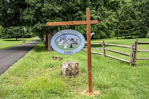 3959 Cobbler Mountain Rd, Delaplane, VA 20144 - Photo 93