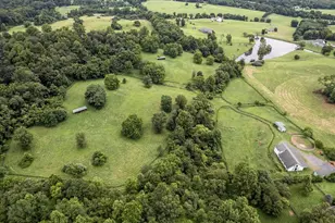 3959 Cobbler Mountain Rd, Delaplane, VA 20144 - Photo 101