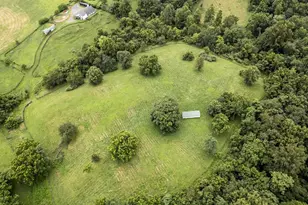 3959 Cobbler Mountain Rd, Delaplane, VA 20144 - Photo 99