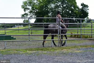 3959 Cobbler Mountain Road, Delaplane, VA 20144 - Photo 79