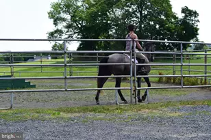 3959 Cobbler Mountain Rd, Delaplane, VA 20144 - Photo 79