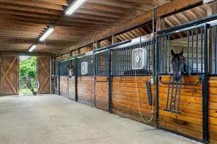 3959 Cobbler Mountain Rd, Delaplane, VA 20144 - Photo 83