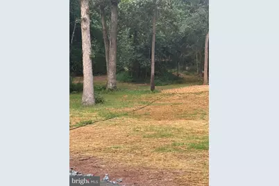 9653 Woodbrook Lane, Midland, VA 22728 - Photo 61