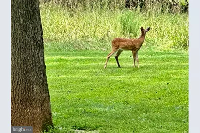 7038 Beaconsfield Lane, Warrenton, VA 20187 - Photo 19