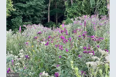 9178 Hannah Dustin, Casanova, VA 20139 - Photo 51