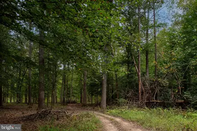 11497 Yeats Drive, Catlett, VA 20119 - Photo 101