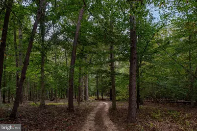 11497 Yeats Drive, Catlett, VA 20119 - Photo 99