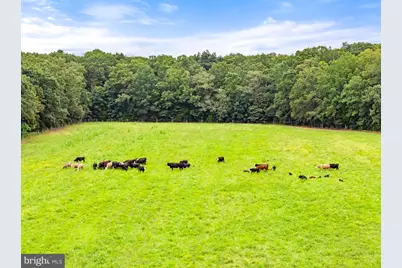 5364 Woodside Lane, Bealeton, VA 22712 - Photo 107