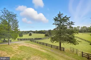 5084 Fairview Ln, Broad Run, VA 20137 - Photo 37