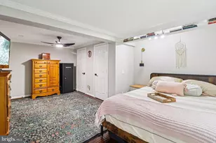 9830 Wineberry Rd, Marshall, VA 20115 - Photo 35