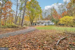 9830 Wineberry Rd, Marshall, VA 20115 - Photo 3