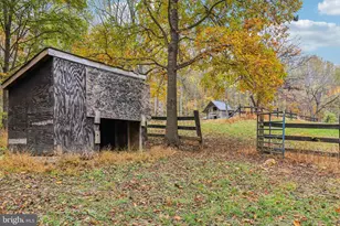 9830 Wineberry Rd, Marshall, VA 20115 - Photo 85