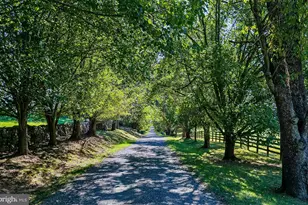 1610 Delaplane Grade Rd, Upperville, VA 20184 - Photo 5