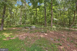 7333 Fox Call Ln, Warrenton, VA 20186 - Photo 51