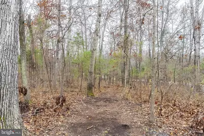 6245 Squirrel Nest Lane, Warrenton, VA 20187 - Photo 55