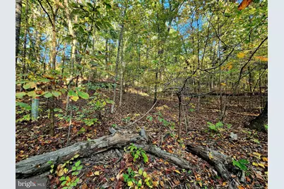 Lots 3 and 4 Ernest Robinson Road, Marshall, VA 20115 - Photo 7