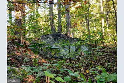 Lots 3 and 4 Ernest Robinson Road, Marshall, VA 20115 - Photo 11
