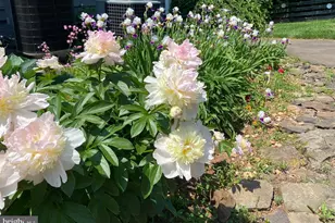 8182 Ashton Wy, Warrenton, VA 20186 - Photo 75