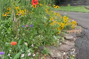 8182 Ashton Wy, Warrenton, VA 20186 - Photo 77