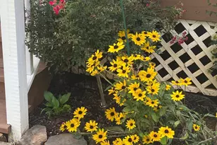 8182 Ashton Wy, Warrenton, VA 20186 - Photo 73