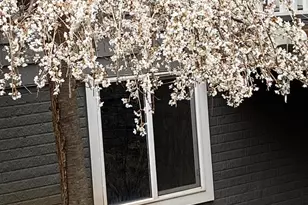 8182 Ashton Wy, Warrenton, VA 20186 - Photo 67