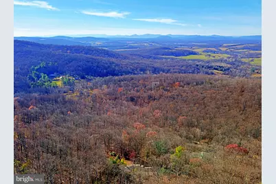 4119 Bull Run Mountain Road, The Plains, VA 20198 - Photo 5