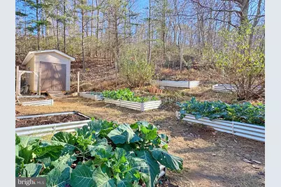 4119 Bull Run Mountain Road, The Plains, VA 20198 - Photo 7