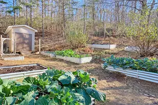 4119 Bull Run Mountain Rd, The Plains, VA 20198 - Photo 7