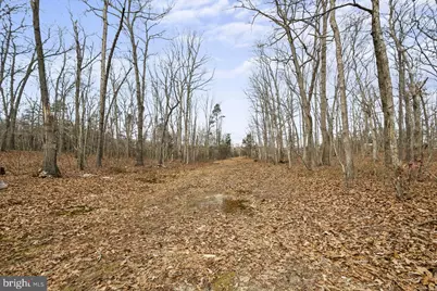 7389 Leeds Manor Road, Marshall, VA 20115 - Photo 21