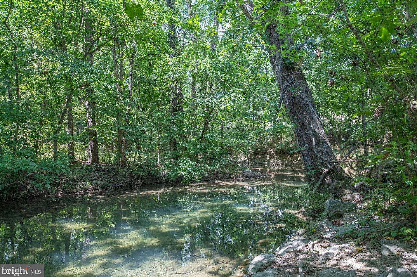 113 Waterford Ln, Winchester VA  22602-6220 exterior