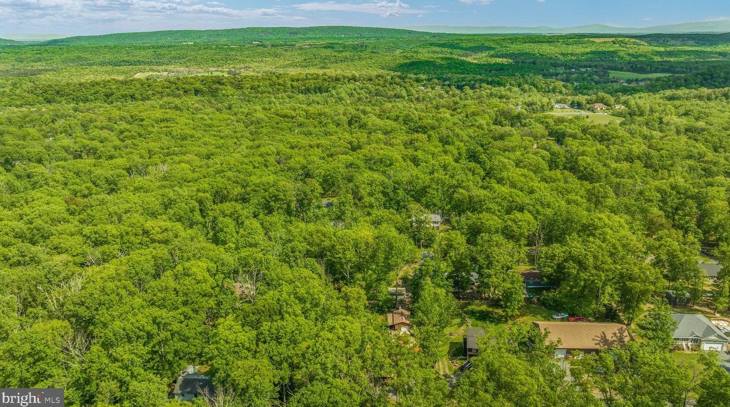 221 Graywolf Trl, Winchester VA  22602-1433 exterior