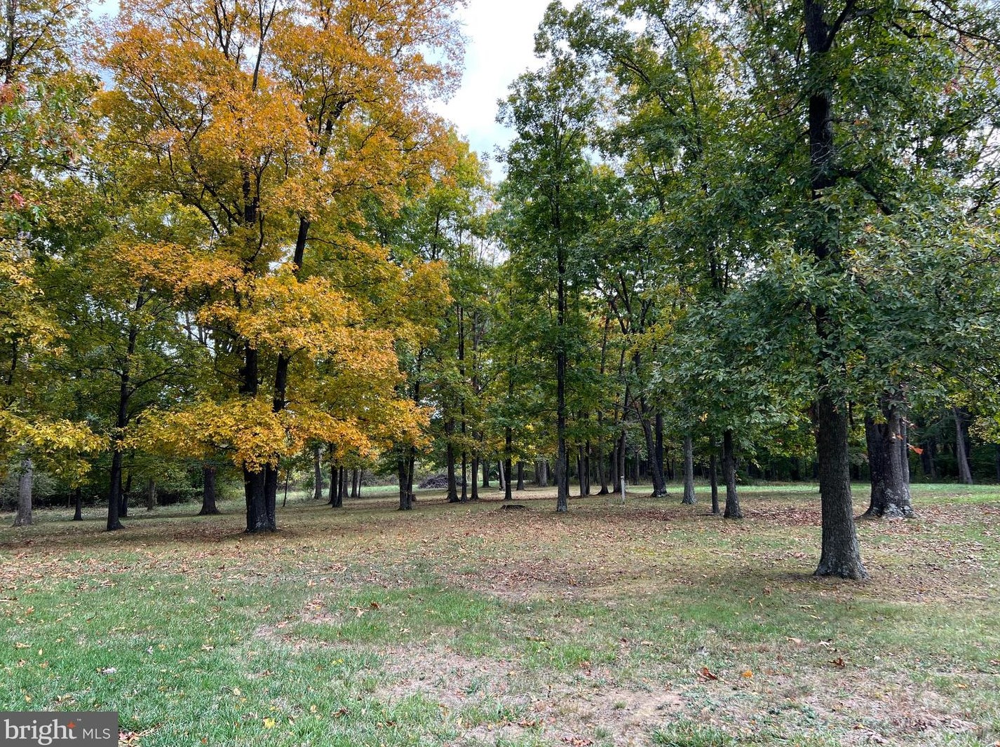 936 Frog Hollow Rd, Winchester VA  22603-2528 exterior