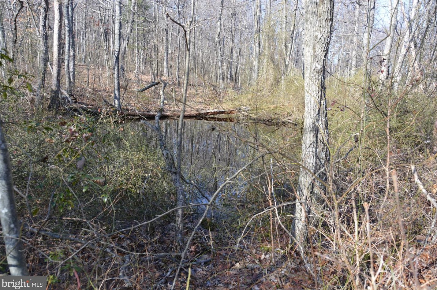 264 Forest Ln, Gore VA 22637-3000 exterior
