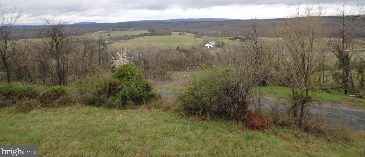 1742 Back Mountain Rd, Winchester VA  22602-1902 exterior