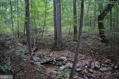 Forest Lane, Gore, VA 22637 - Photo 9
