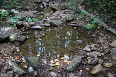 Forest Lane, Gore, VA 22637 - Photo 5