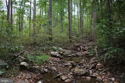 Forest Lane, Gore, VA 22637 - Photo 7