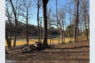 113 Shockey Circle, Winchester, VA 22602 - Photo 3