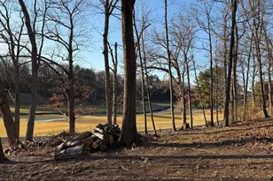 113 Shockey Cir, Winchester, VA 22602 - Photo 3